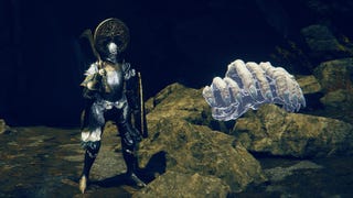 An Elden Ring player standing next to the Fingercreeper Ashes in Shadow of the Erdtree.